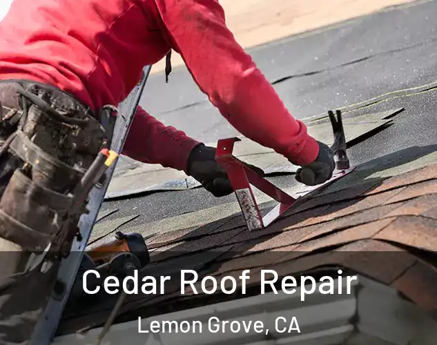  Cedar Roof Repair Lemon Grove, CA