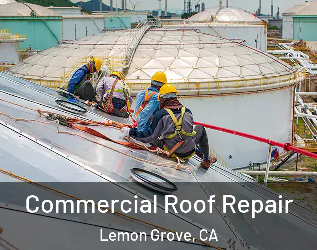  Commercial Roof Repair Lemon Grove, CA