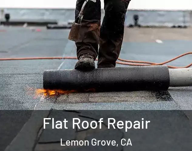  Flat Roof Repair Lemon Grove, CA