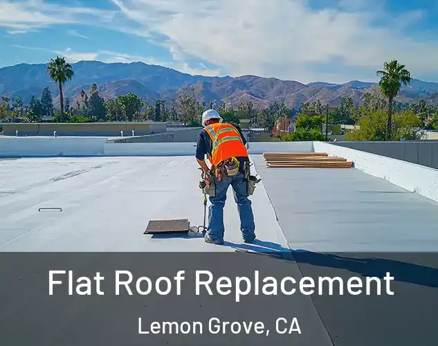  Flat Roof Replacement Lemon Grove, CA