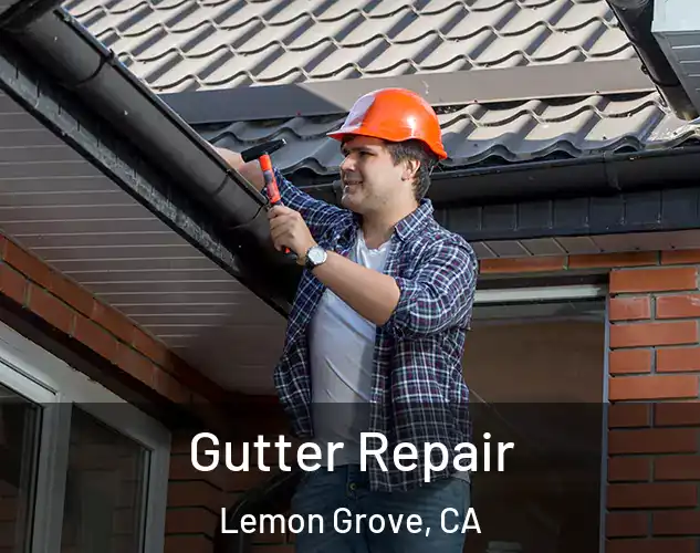  Gutter Repair Lemon Grove, CA