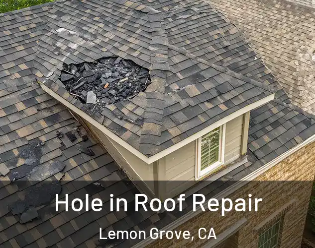  Hole in Roof Repair Lemon Grove, CA