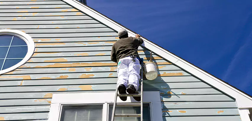 Professional Roof and Siding Repair Services in Lemon Grove, CA