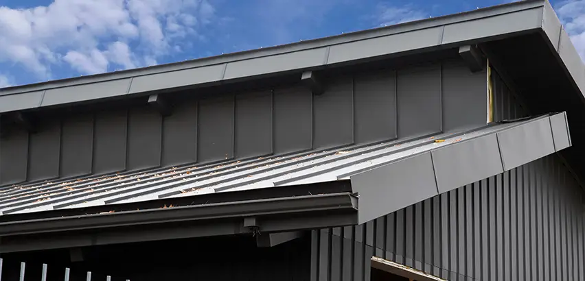 Professional Roof Eaves Installation Services in Lemon Grove, CA
