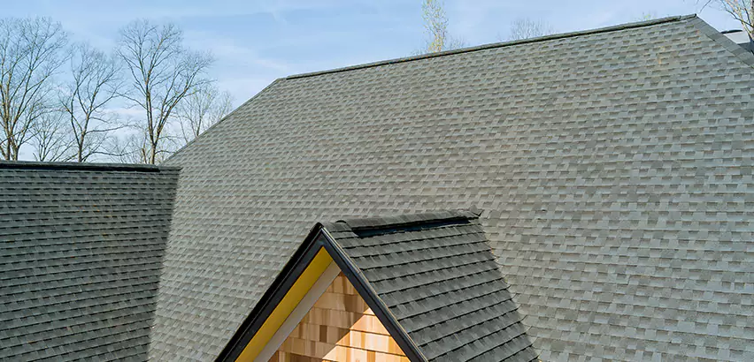 Replacing Vinyl Siding With Cedar Shingles in Lemon Grove