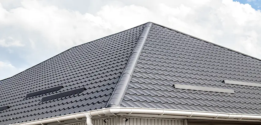 Roof Gully Repair in Lemon Grove