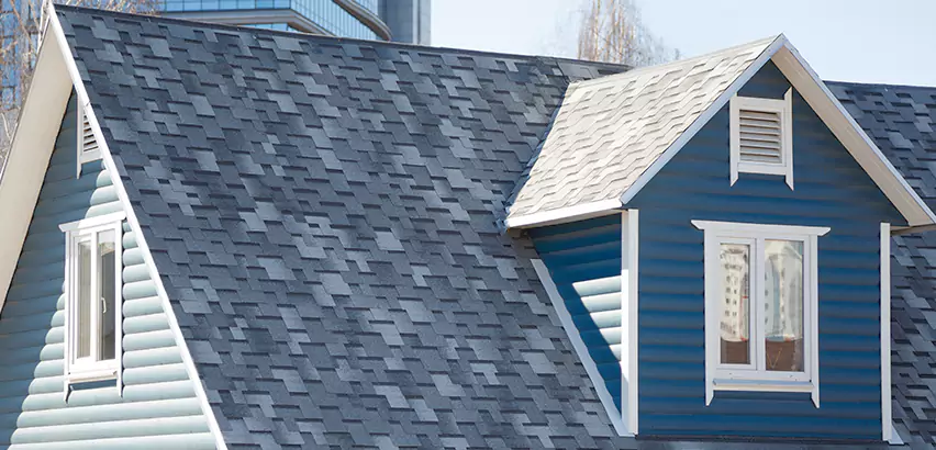Shingle Roof Maintenance in Lemon Grove