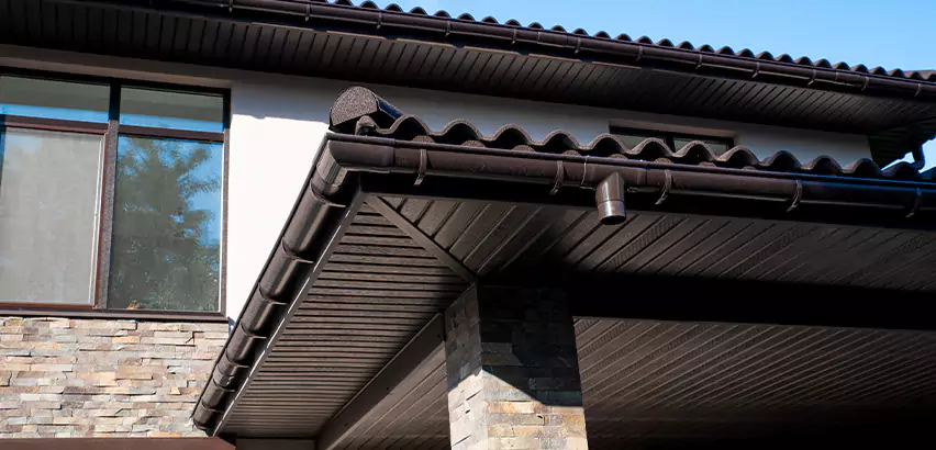 Soffit Damage Repair in Lemon Grove