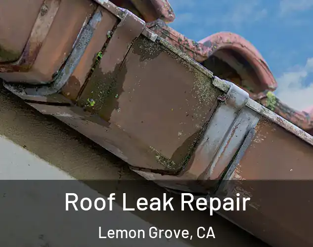  Roof Leak Repair Lemon Grove, CA