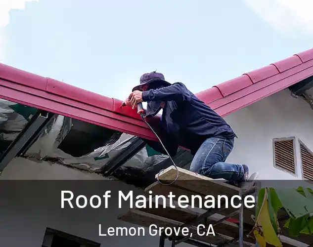 Roof Maintenance Lemon Grove, CA