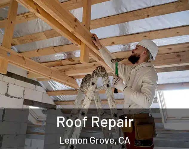  Roof Repair Lemon Grove, CA