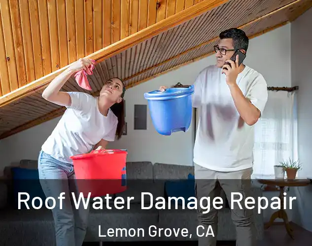  Roof Water Damage Repair Lemon Grove, CA