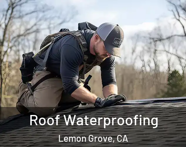  Roof Waterproofing Lemon Grove, CA