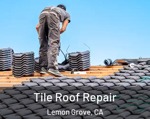  Tile Roof Repair Lemon Grove, CA