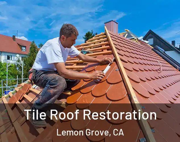  Tile Roof Restoration Lemon Grove, CA